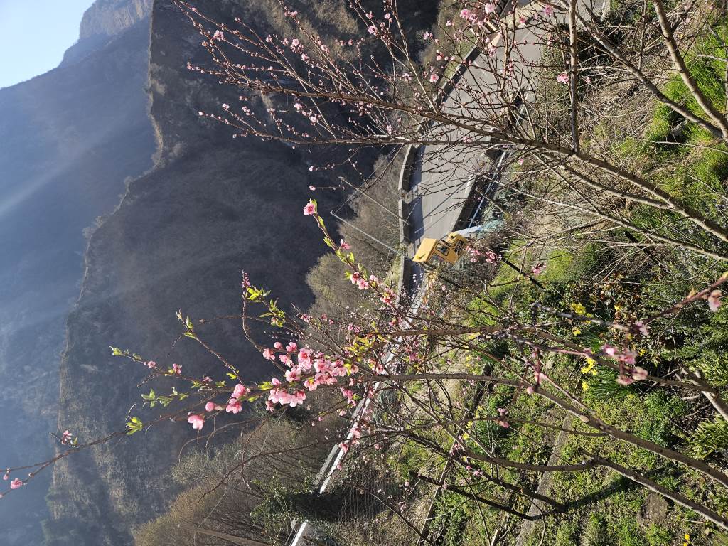 LUNEDI 6 APRILE PASQUETTA APERTO CASTO 